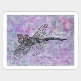 Dragonfly Magnet